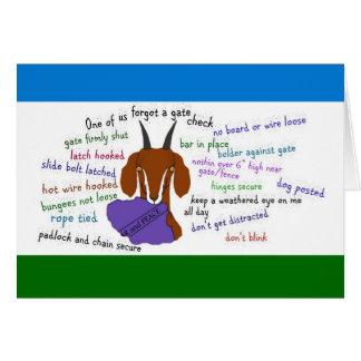 geit, ontsnappingsproblemen, nubisch, boer