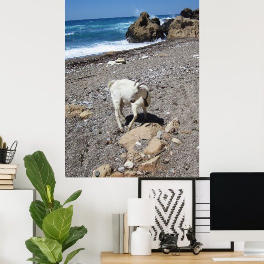 Geit op het strand poster (Thuiskantoor)