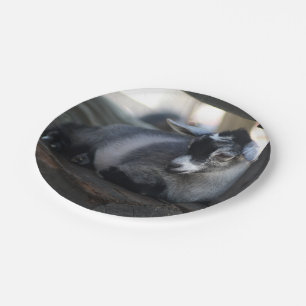 Geit Papieren Bordje