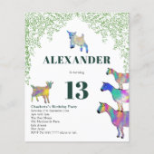 Geitat Thapaires Groen (Voorkant)