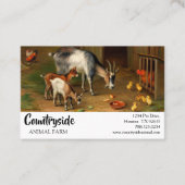 Geiten en kippen bij het Boerderij Visitekaartje (Voorkant)