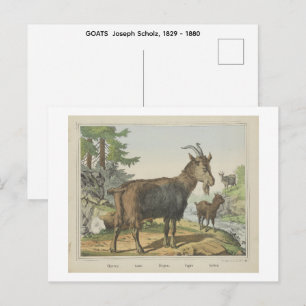 GEITEN  Joseph Scholz, 1829 - 1880   Briefkaart
