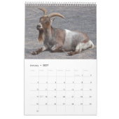 Geiten Kalender (Jan 2027)
