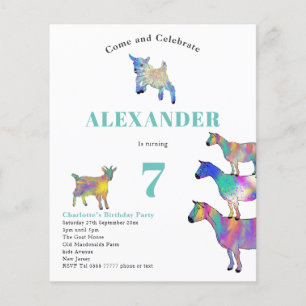 Geiten Kinderen Verjaardagsfeest Budget Flyer