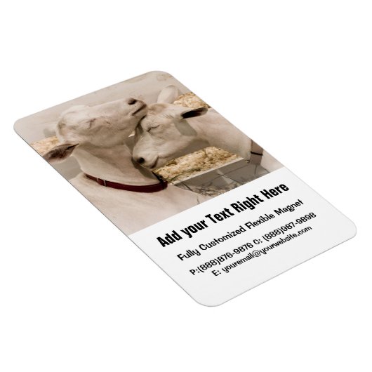 Geiten knuffelen magneet (Rechterzijde)