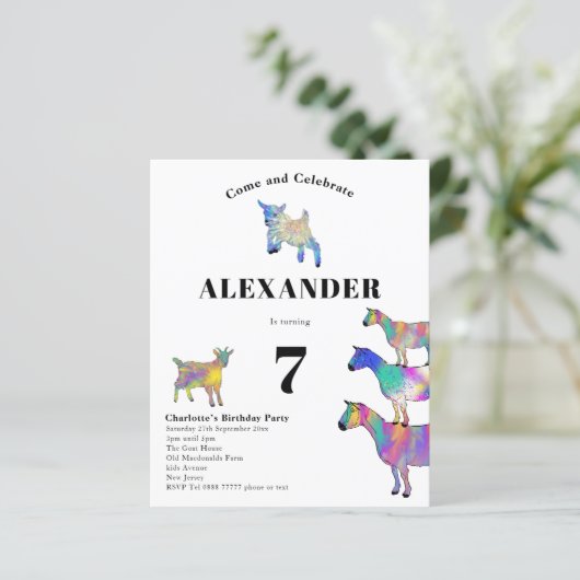 Geiten met als geboortedag beschouwd (Staand voorkant)