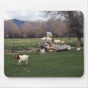 Geiten op een logboek muismat