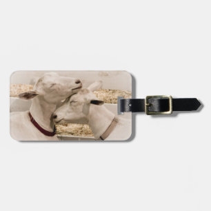 Geiten smokkelen bagagelabel