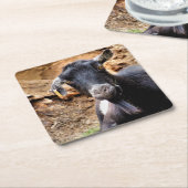 GEITEN VIERKANTE KARTONNEN ONDERZETTER (Schuin)