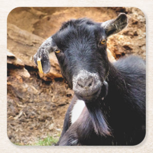 GEITEN VIERKANTE KARTONNEN ONDERZETTER