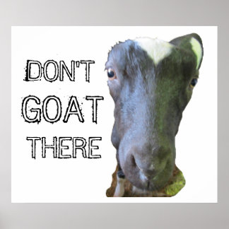 Geitenafdrukken "NIET GOAT ER" Poster