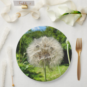 Geitenbaard Wildflower Paper Bord