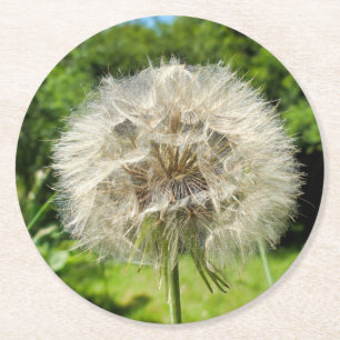 Geitenbaard Wildflower Ronde Kartonnen Onderzetter