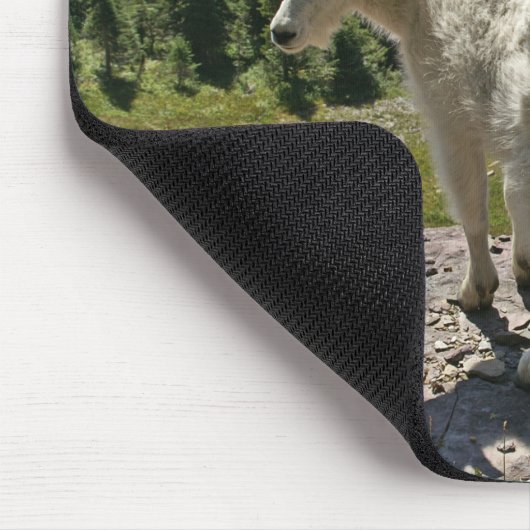 Geitenberg in Glacier National Park Muismat (Hoek)