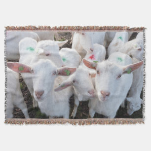 Geitendieren Deken