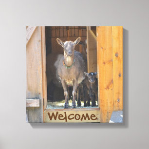 geitendoek canvas afdruk