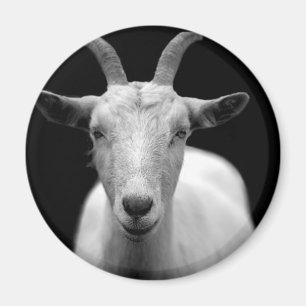 Geitenhoornram gepersonaliseerde Jubilea Magneet