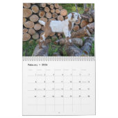 Geitenkalender Kalender (Feb 2026)