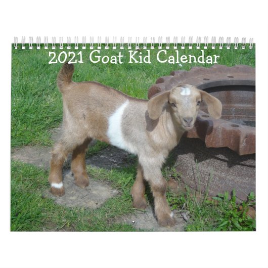 Geitenkalender Kalender (Hoes)