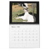 Geitenkalender met Inspirerend offertes Kalender (Feb 2026)