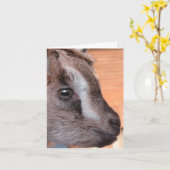 Geitenkijktelevisie Kaart (Gele Bloem)