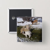 GeitenKind in Snowy Grass Vierkante Button 5,1 Cm (Voorkant /achterkant)