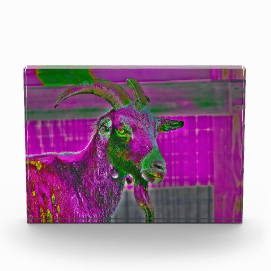Geitenkunst Fotoblokken (Voorkant)