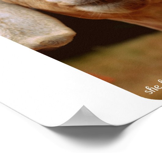 Geitenkunst Poster (Hoek)