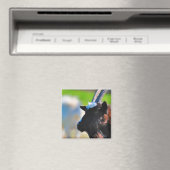 Geitenmagneet Magneet (Insitu (Vaatwasser))