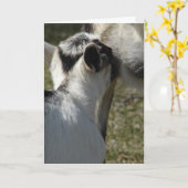 Geitenmelk Drink Kind, Moederdag Kaart (Gele Bloem)