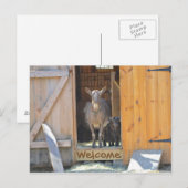 Geitenpost Kaart (Voorkant / Achterkant)