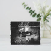 Geitenpower Briefkaart (Staand voorkant)