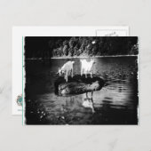 Geitenpower Briefkaart (Voorkant / Achterkant)