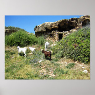 geitenretraite poster