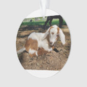 Geitensornament 2 afbeeldingen ornament (voorkant)