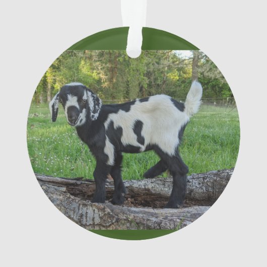Geitensornament 2 afbeeldingen ornament (achterkant)