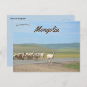 Geitenstapel in Mongolië Briefkaart (Voorkant / Achterkant)