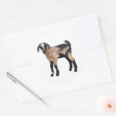 Geitenstickers set van 6 ronde sticker (Envelop)