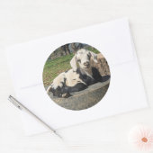 Geitenstickers set van 6 ronde sticker (Envelop)