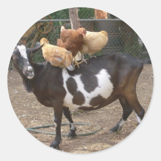 Geitentaxi Ronde Sticker