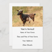 Geitenvlees Afbeelding Kaart (Voorkant / Achterkant)