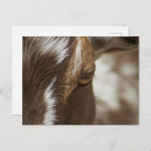 Geitenvlees Briefkaart (Voorkant / Achterkant)