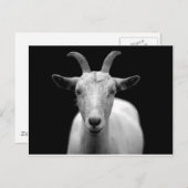 Geitenvlees Briefkaart (Voorkant / Achterkant)