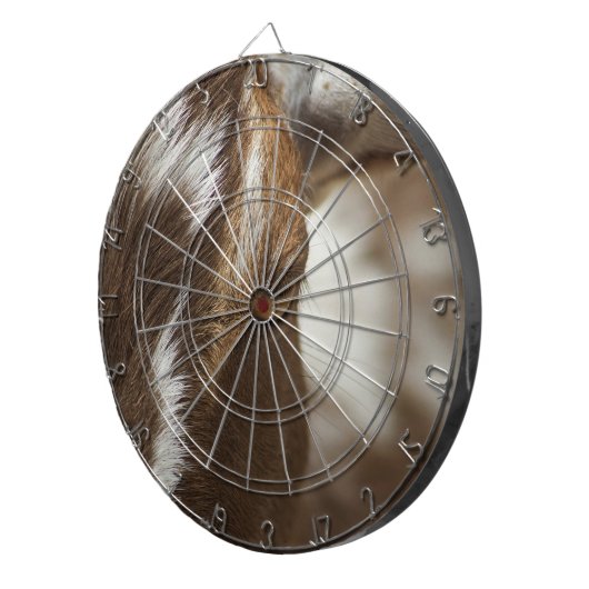 Geitenvlees Dartbord (Voorkant Rechts)