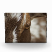 Geitenvlees Fotoblokken (Voorkant)