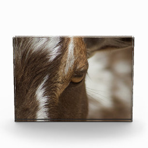 Geitenvlees Fotoblokken
