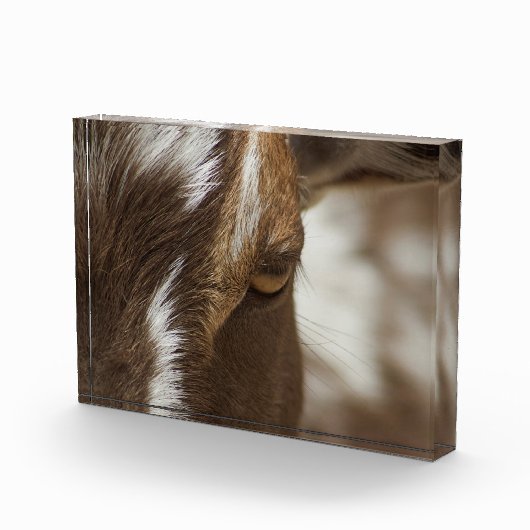 Geitenvlees Fotoblokken (Rechts)