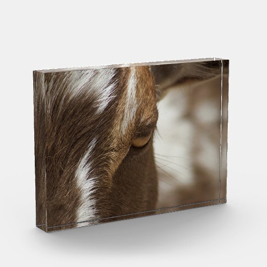 Geitenvlees Fotoblokken (Links)