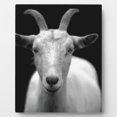 Geitenvlees Fotoplaat (Voorkant)