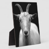 Geitenvlees Fotoplaat (Zijkant)